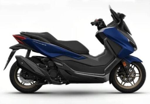FORZA 250 2021-2022
